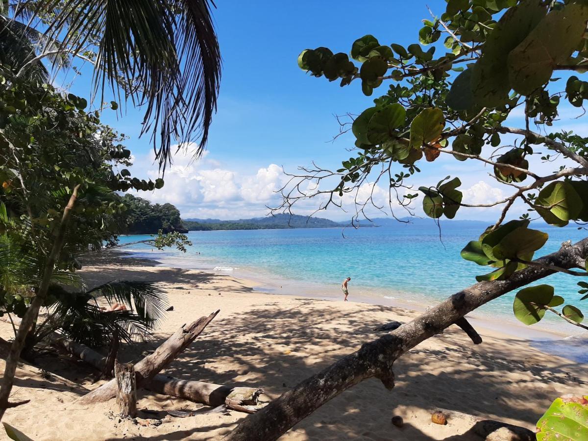 Ocean'S Breeze Apartment And Rooms Puerto Viejo de Talamanca エクステリア 写真
