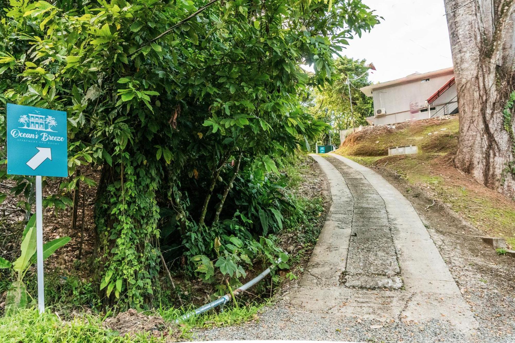 Ocean'S Breeze Apartment And Rooms Puerto Viejo de Talamanca エクステリア 写真